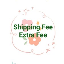 shipping fee , express shipping fee, extra fee, price difference