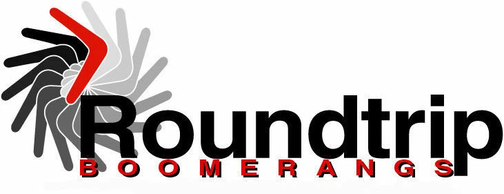 Green "Mantis" Boomerang - Genuine handmade wooden returning easy throw, catch - Image 4 of 4