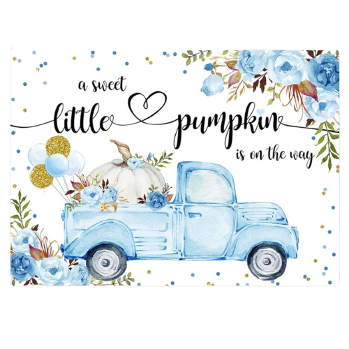 Little Pumpkin Baby Shower Backdrop – Blue Floral Truck & Balloons, 7x5ft - New - Picture 1 of 4