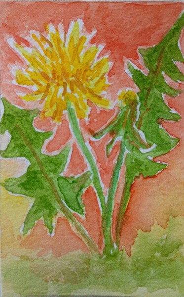 ACEO by whimsicalpig