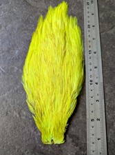 Phosphor Yellow Chinese Cock Cape - Irish Nymphs Wet Fly Tying Materials