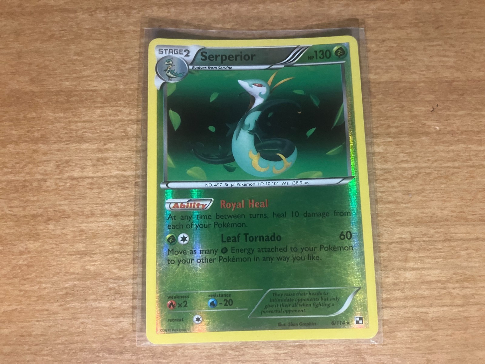 Pokemon Card Reverse Holo Serperior 6/113 Black & White NM/LP 2011