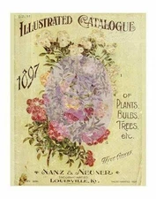 IOD DECOR  TRANSFER NANZ NEUNER