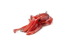 XIBIA Handmade Cuttlefish Imitation Silicone Lure For Boat deep Fishing