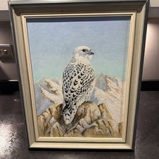 Feines Vintage Öl auf Leinwand Tafel Gemälde eines Gryfalken von Norma Edward’s 