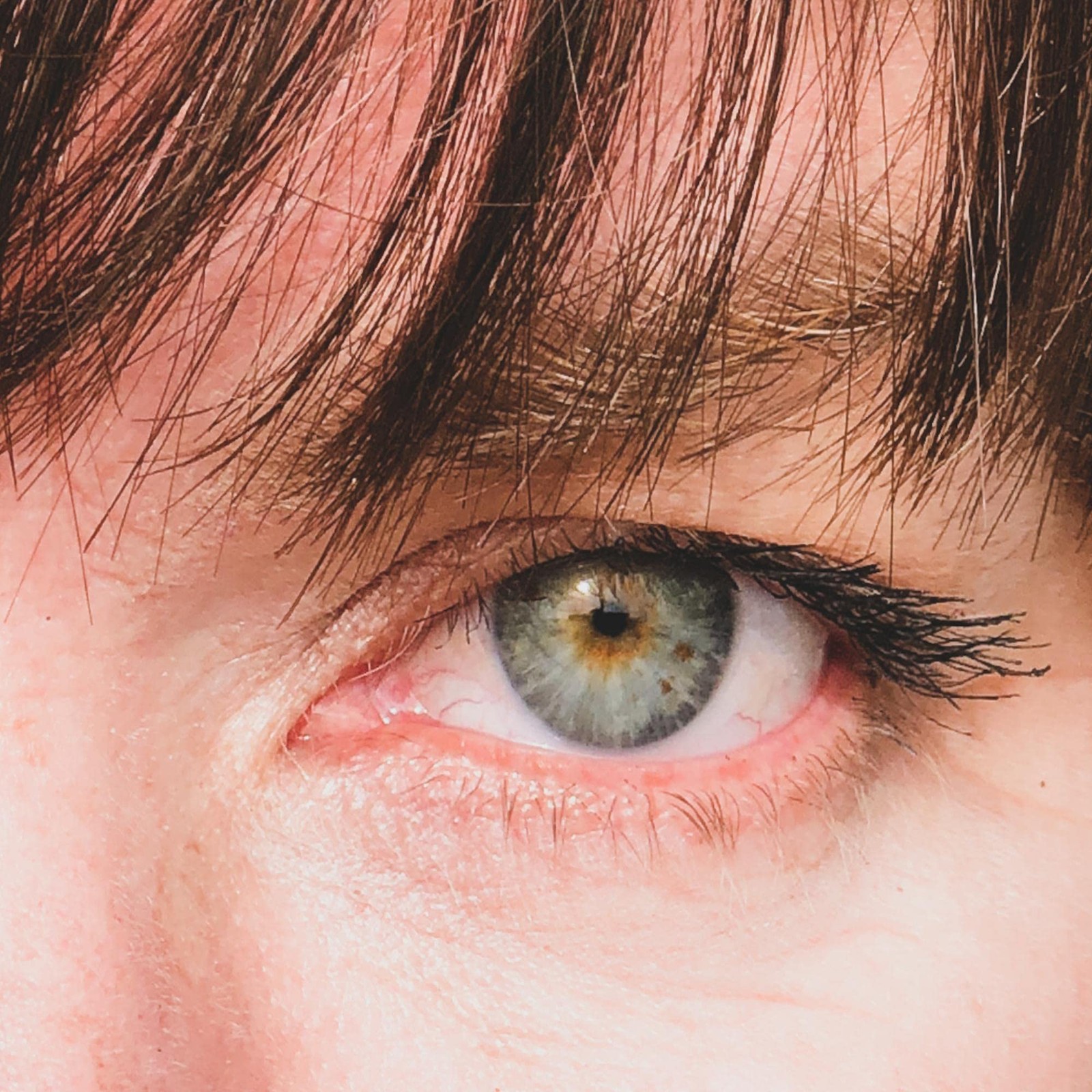 Сара Шенбек, Сара Шенбек (CD)