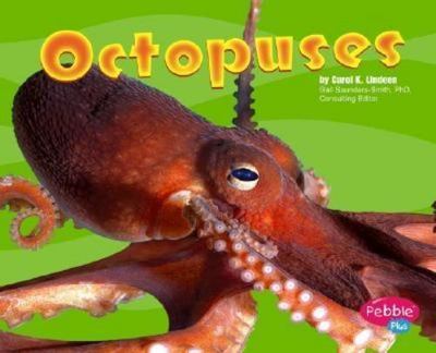 Octopuses; Pebble Plus - Carol K Lindeen, 0736836616, library binding