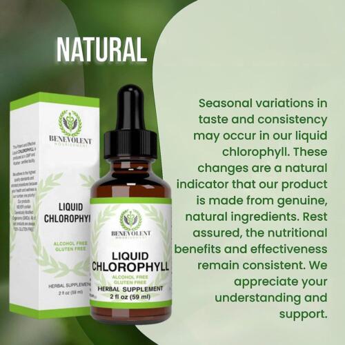 Benevolent Nourishment Liquid Chlorophyll Herbal Supplement - Picture 4 of 8