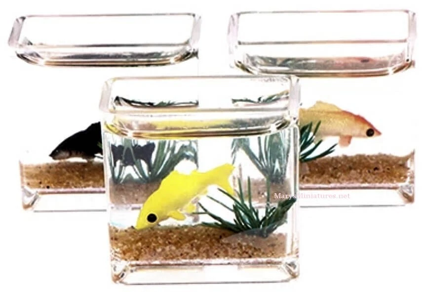 Dollhouse aquarium cheap