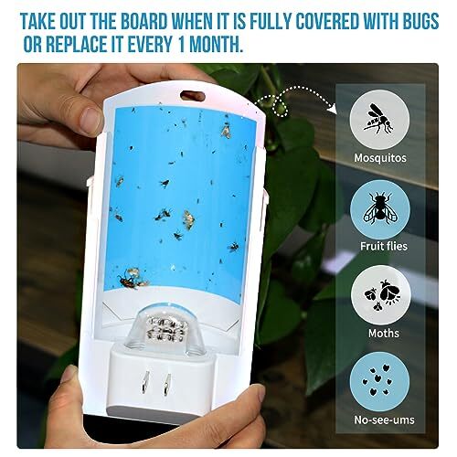 Flying Insect Trap for Indoor, Fruit Fly Trap for Home, Plugin Fly Bug