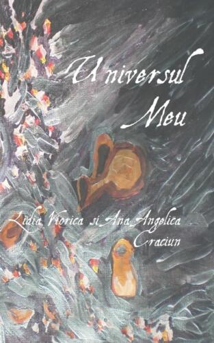 Universul Meu by Lidia Viorica Craciun (Romanian) Paperback Book