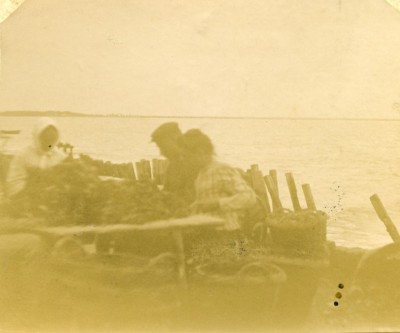 Frankreich Meerblick Muscheln Fischer alt Amateur Stereoview Foto 1900