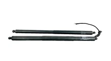 2016-2023 Tesla Model X Rear Tailgate Support Shock Lift Trunk Lid Strut SET OEM