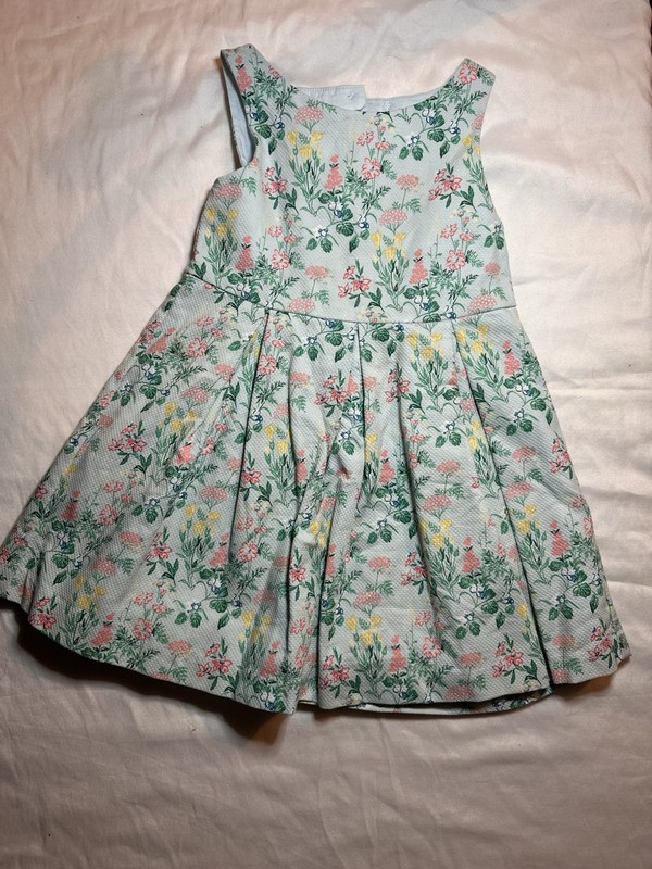 Janie and Jack Girls Floral Fit & Flare Dress Woven Lined Bow Pleat Size 3