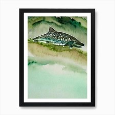 Basking Shark Storybook Watercolour Framed Wall Art Poster Canvas Print Picture