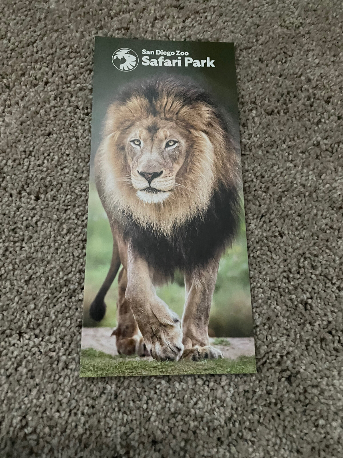 San Diego Zoo Map Printable - 9s1gcmv