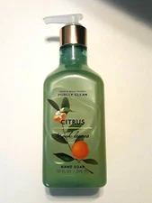 Bath & Body Works Purely Clean Citrus & Oak Leaves Pump Hand Soap 10oz Rare