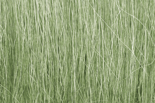 Woodland Scenics FG173 Field Grass Light Green 8g