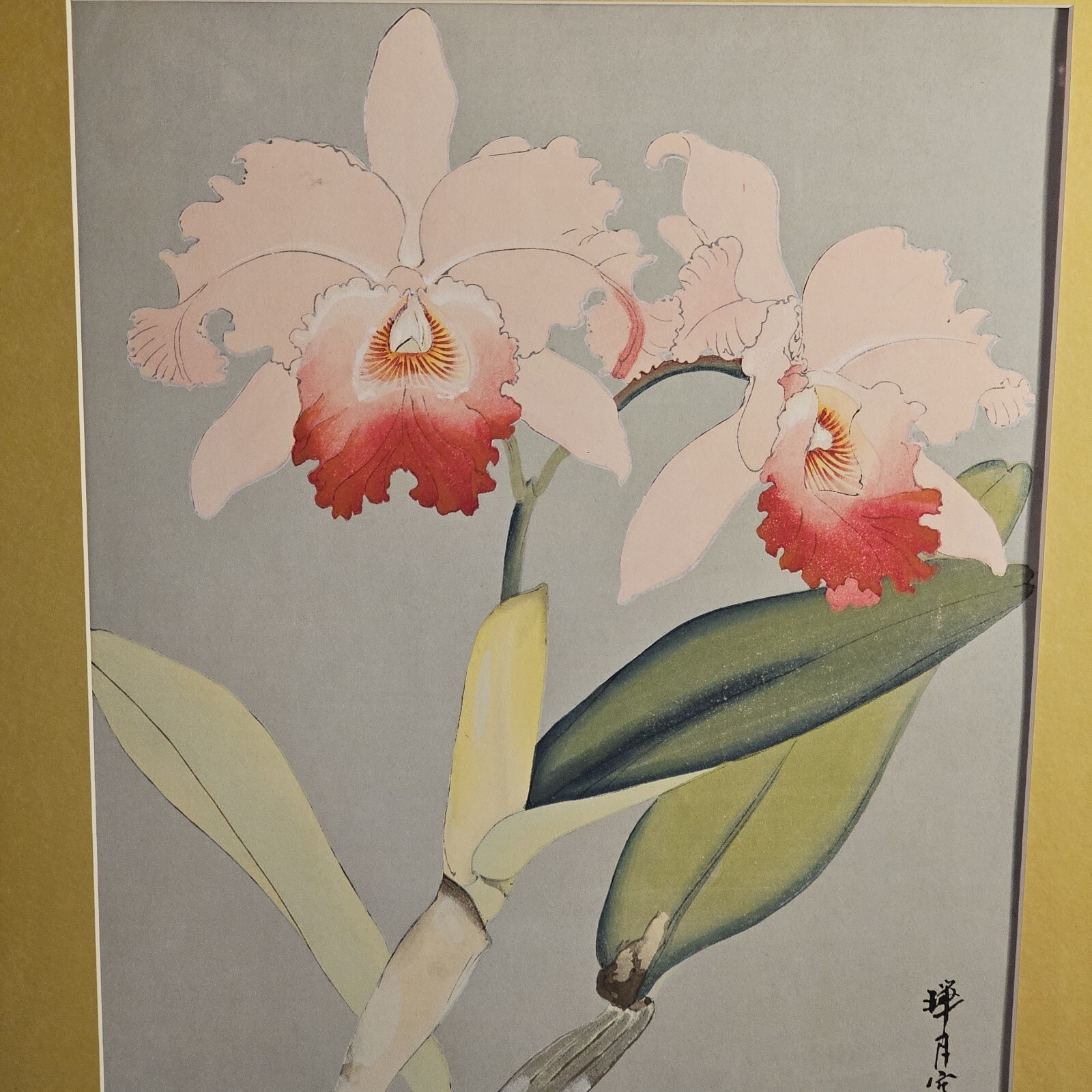 Picture 8 of 9