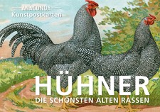 Postkarten-Set Hühner Anaconda Verlag