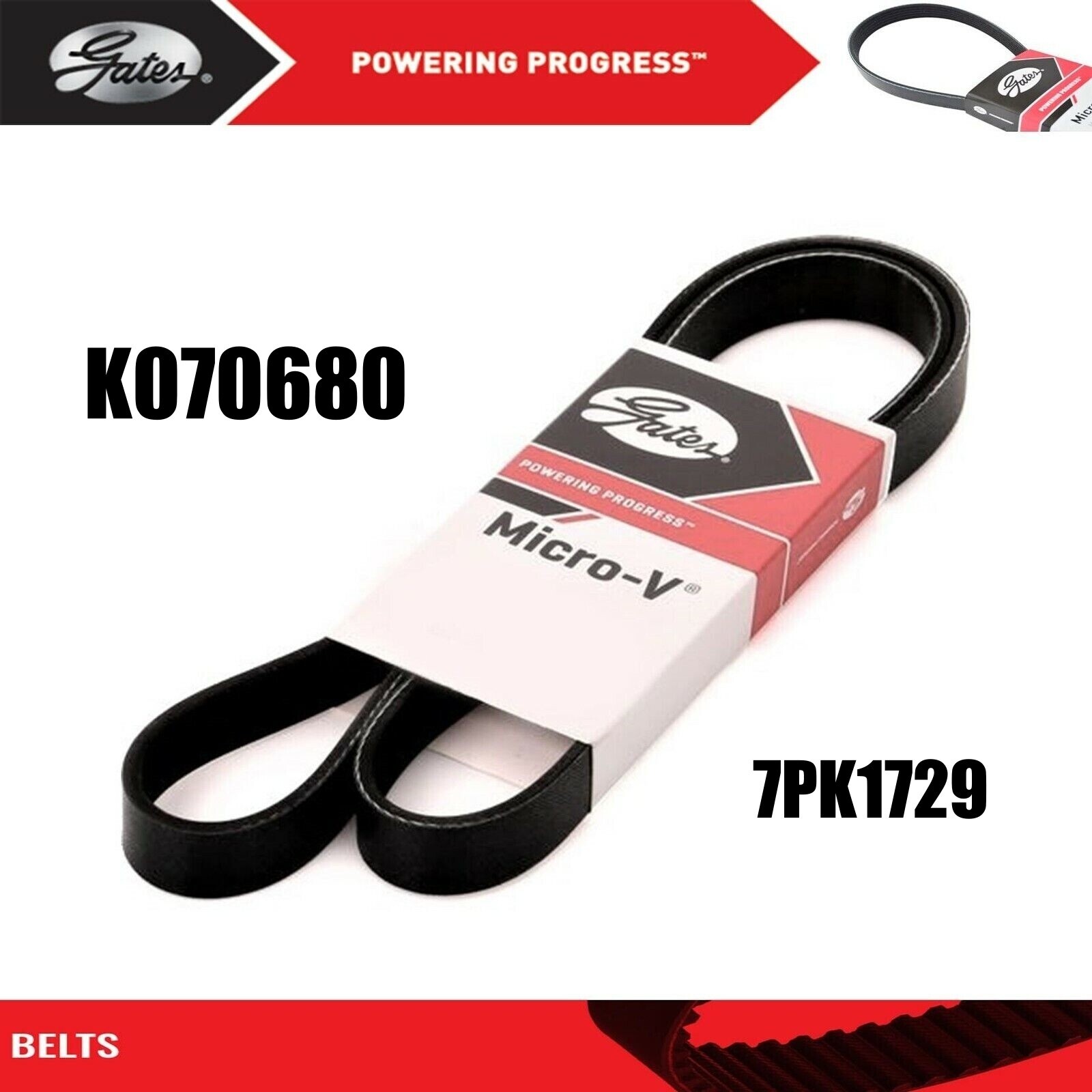 Gates K070680 (7PK1729) Drive Micro-v Belt for Acura | eBay