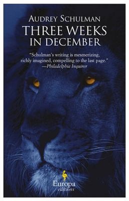 Three Weeks IN Dezember Taschenbuch Audrey Schulman