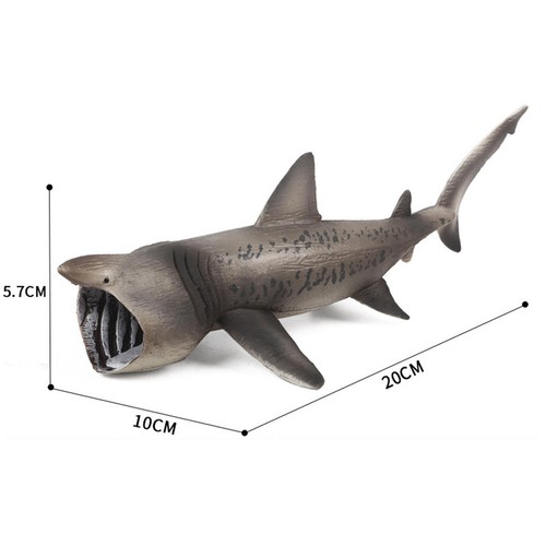Basking sharks Model ,Educational Learning Toy, Marine - Picture 3 of 12