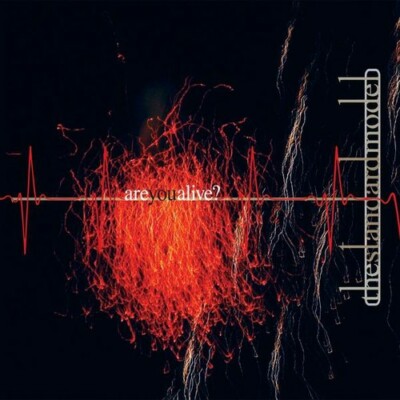 Standard Model - Are You Alive? CD