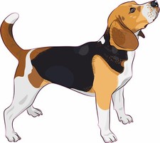 5in x 4.5in Beagle Bumper Sticker Vinyl Right Window Sign Decal Decals Stickers
