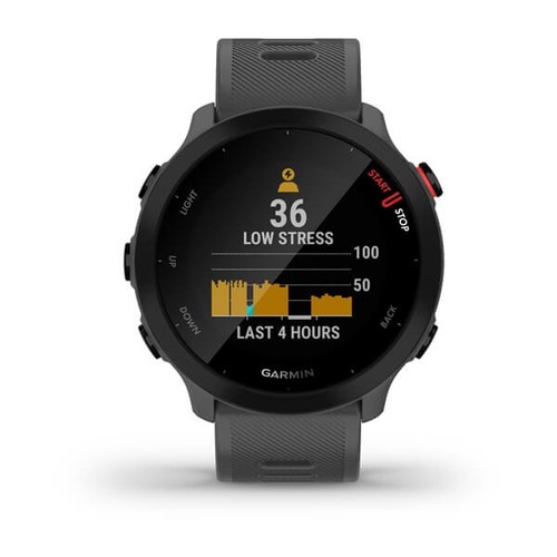 Garmin Forerunner 55, GPS, EU, Monterra Grey - Photo 6/7