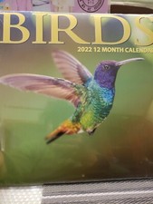 2022 BIRDS WALL CALENDAR NEW/SEALED