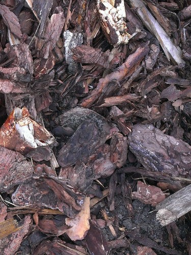 RINDENMULCH Tagesfrische Werksware fein bis grob incl.Lieferung Berlin/Brandenbg - Bild 2 von 3