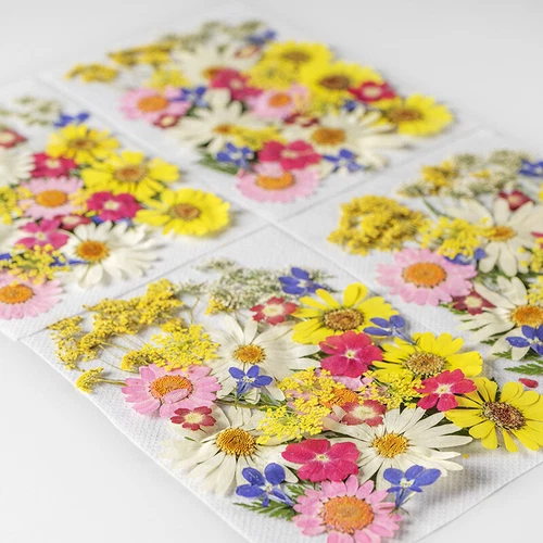 Dried Pressed Flowers Natural Epoxy Resin Candle Nail Art Scrapbooking Craft AU - Picture 29 of 210