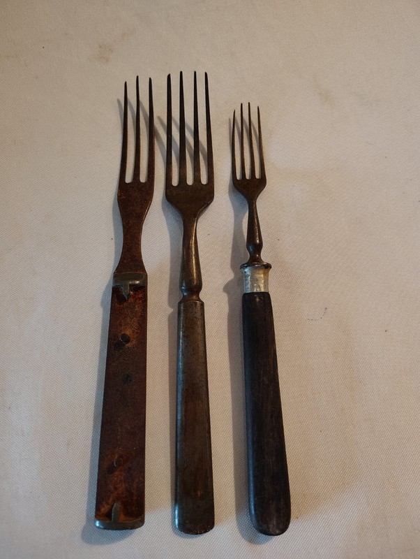 1800s Civil War Era 3 Fork Lot