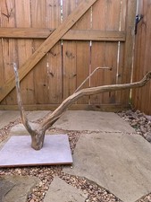 Large Natural Driftwood For Aquarium/Terrarium/arts, and crafts