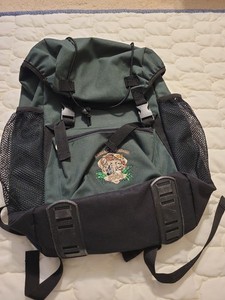 Disney World Backpack | eBay