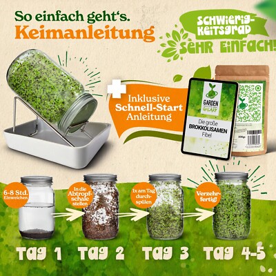 Bio Brokkolisamen Brokkoli ko Keimsprossen - Brokkolisprossen  Sprossenzucht | eBay.de