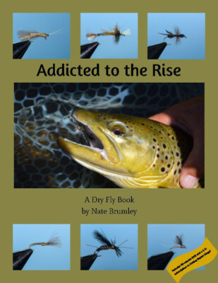 New Signed Addicted to the Rise Dry Fly Fishing Book, includes Streaming Video 
