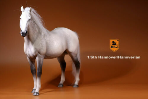Figura MrZ 1/6 Alemania Hannover Caballo Hannover Animal Modelo Escala 12" EN STOCK - Imagen 39 de 46