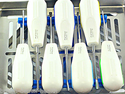 Dental Wurzelaufzüge Kunststoffgriff Sterilisation Kassettenständer 7 Stück