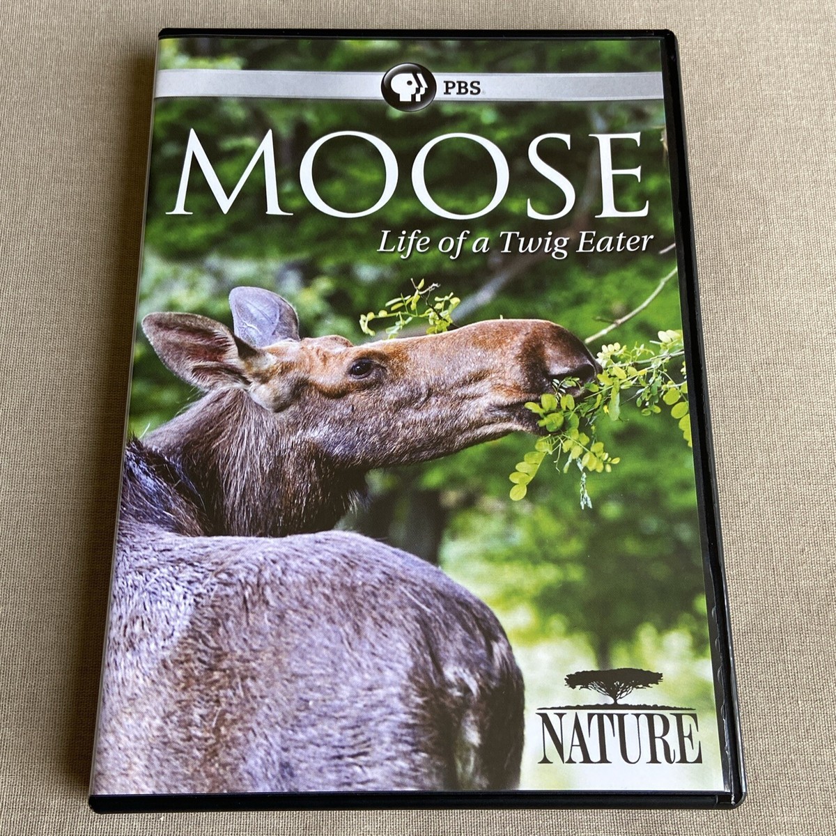 Moose: Life of a Twig Eater (PBS NATURE Program) (DVD 2016