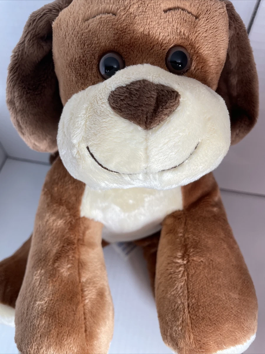 Can Dogs Be Allergic To Stuffed Toys