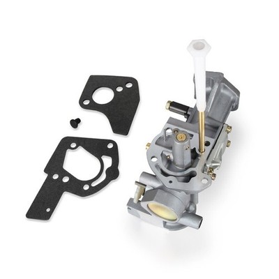 Carburettor Kit For Briggs & Stratton 112232 134202 137202 133212 Series Engines