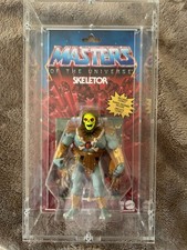 MOTU Masters of the Universe Skeletor Custom Repaint – OVP geöffnet + Soracase P