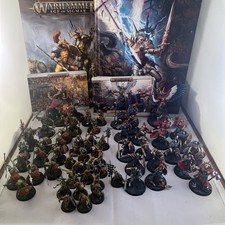 Dominion boxed Set Warhammer Age of Sigmar Stormcast and Kruleboyz Fully Painted