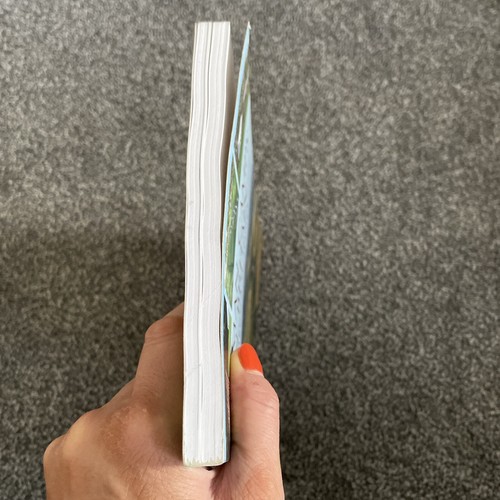 Römische Lager in Großbritannien Rebecca H Jones römische Geschichte Taschenbuch IDLU - Bild 4 von 14