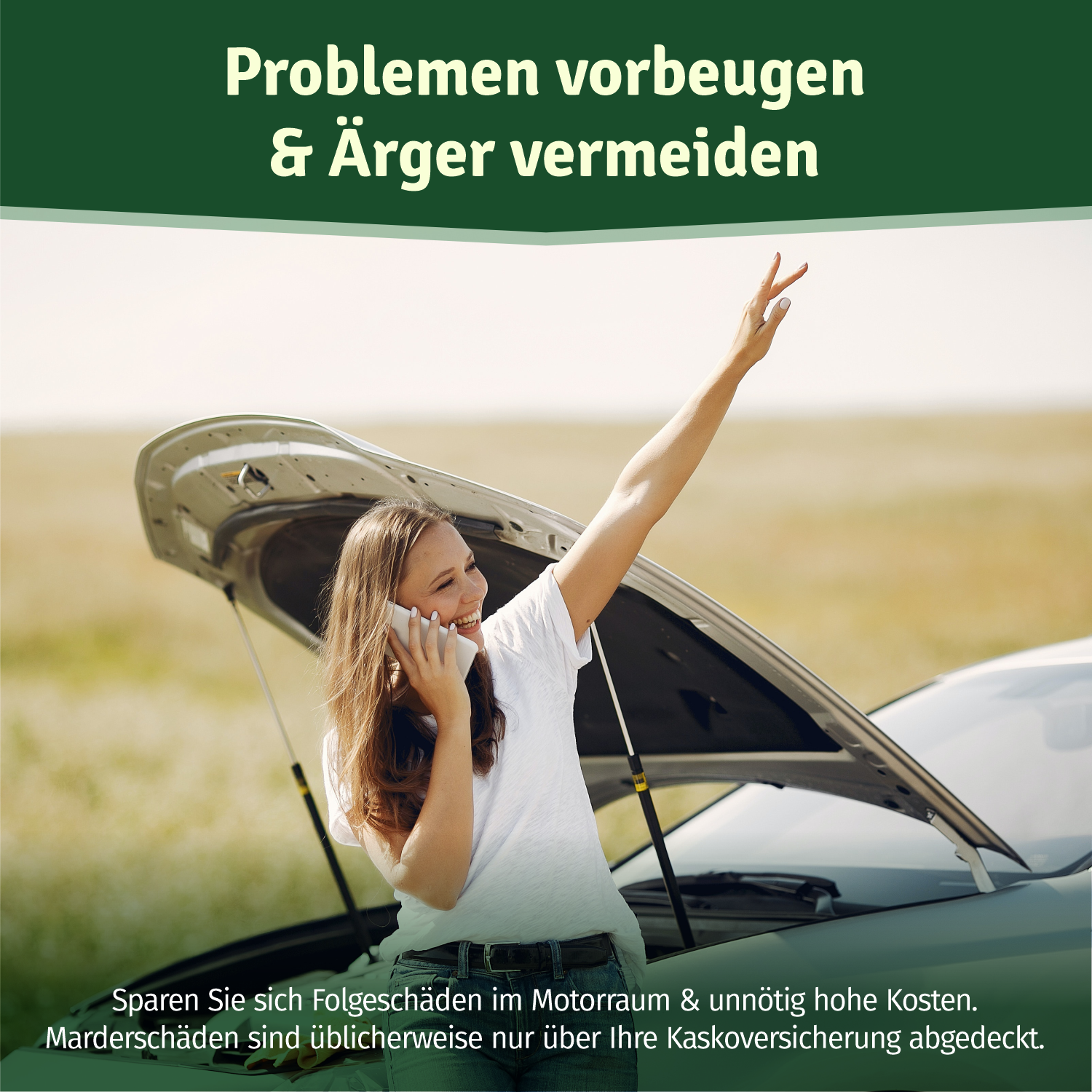 Anti Marderspray Marderschreck für Auto Dachboden & Garage | 400 ml Marder  Spray