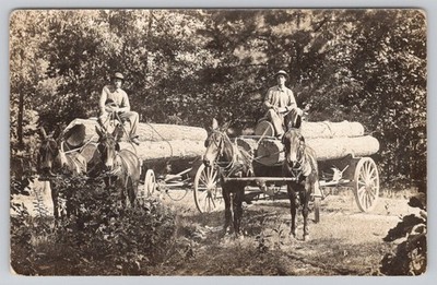 c1910 Hauling Timber 2 Men Atop 2 Log Wagons Pulled by 2-Mule Teams RPPC Photo