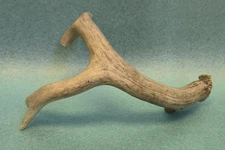 Genuine Deer Antler Cabinet Handle / Drawer Pull Rustic Lodge Cabin Decor
