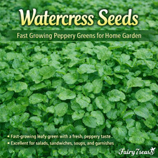 Watercress Seeds   Fresh, Peppery, Fast-Growing Greens